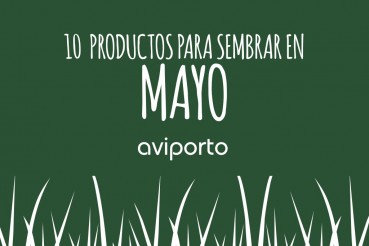 aviporto-mayo.001