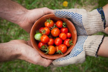 cuenco tomates