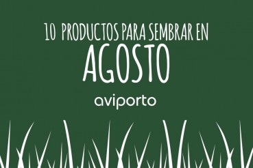 aviporto-agosto.001