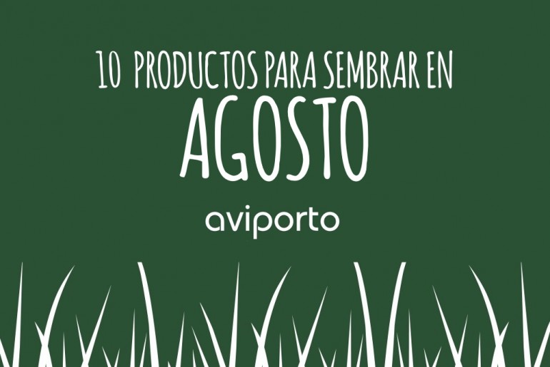 aviporto-agosto.001