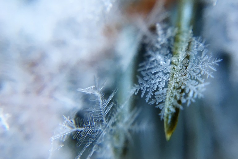 frost-1209402_1920
