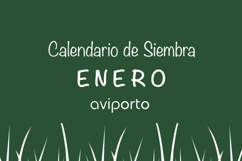 aviporto-agosto.001