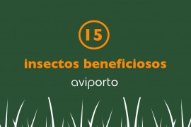 insectos beneficiosos