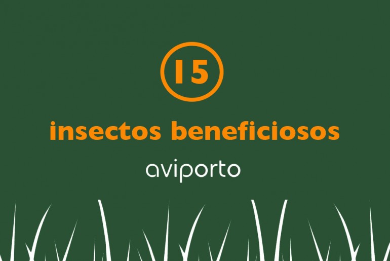 insectos beneficiosos