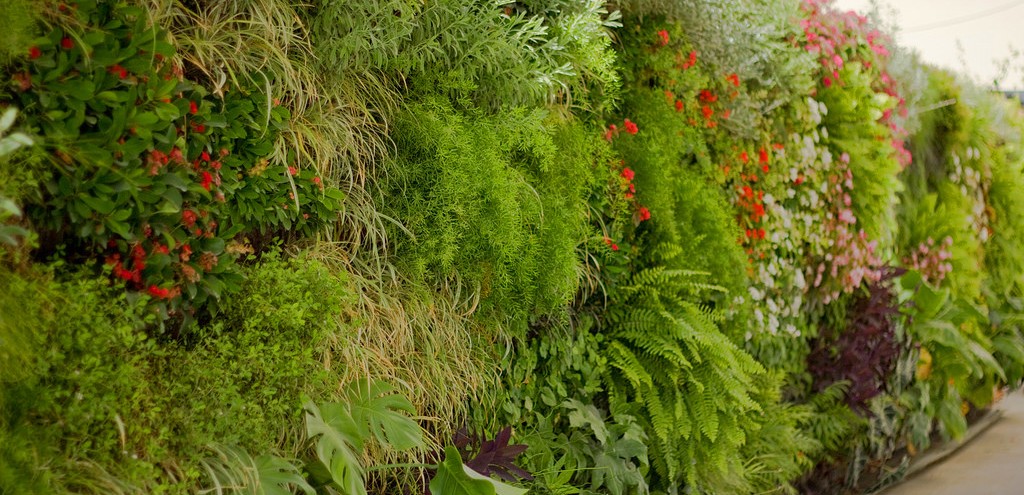 Jardín Vertical casero