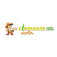 Clemente Viven