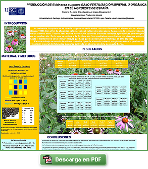 Producción de Echinacea purpurea bajo  fertilización  mineral u orgánica en el noroeste de España