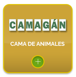 Camagán